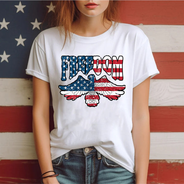 Customer Preferences for T-Shirt Designs on Independence Day