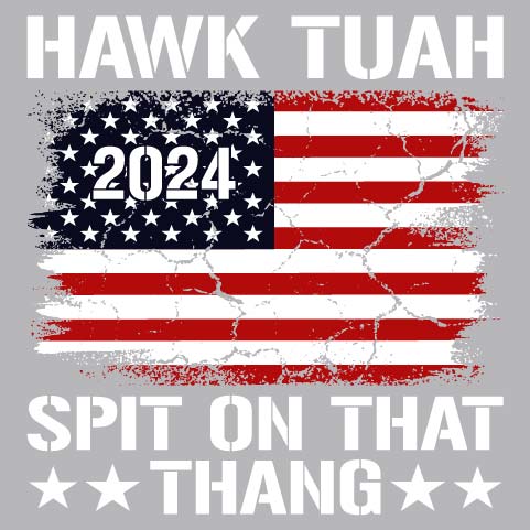 Hawk Tuah 2024 Flag - FUN - 821