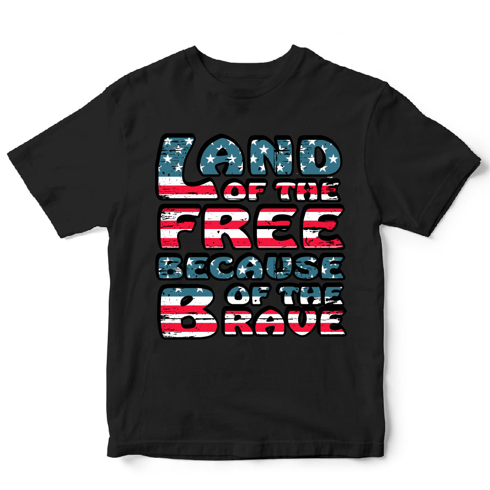 Land of the free - USA 262
