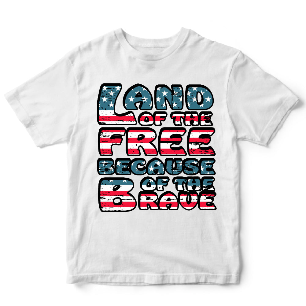 Land of the free - USA 262