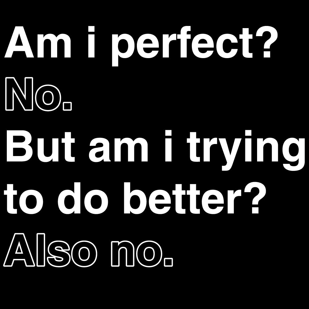 Am i perfect? No - FUN - 490