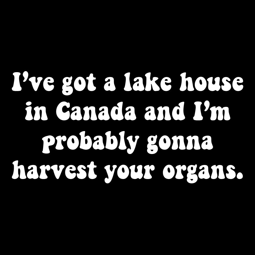 Lake house in Canada - FUN - 383