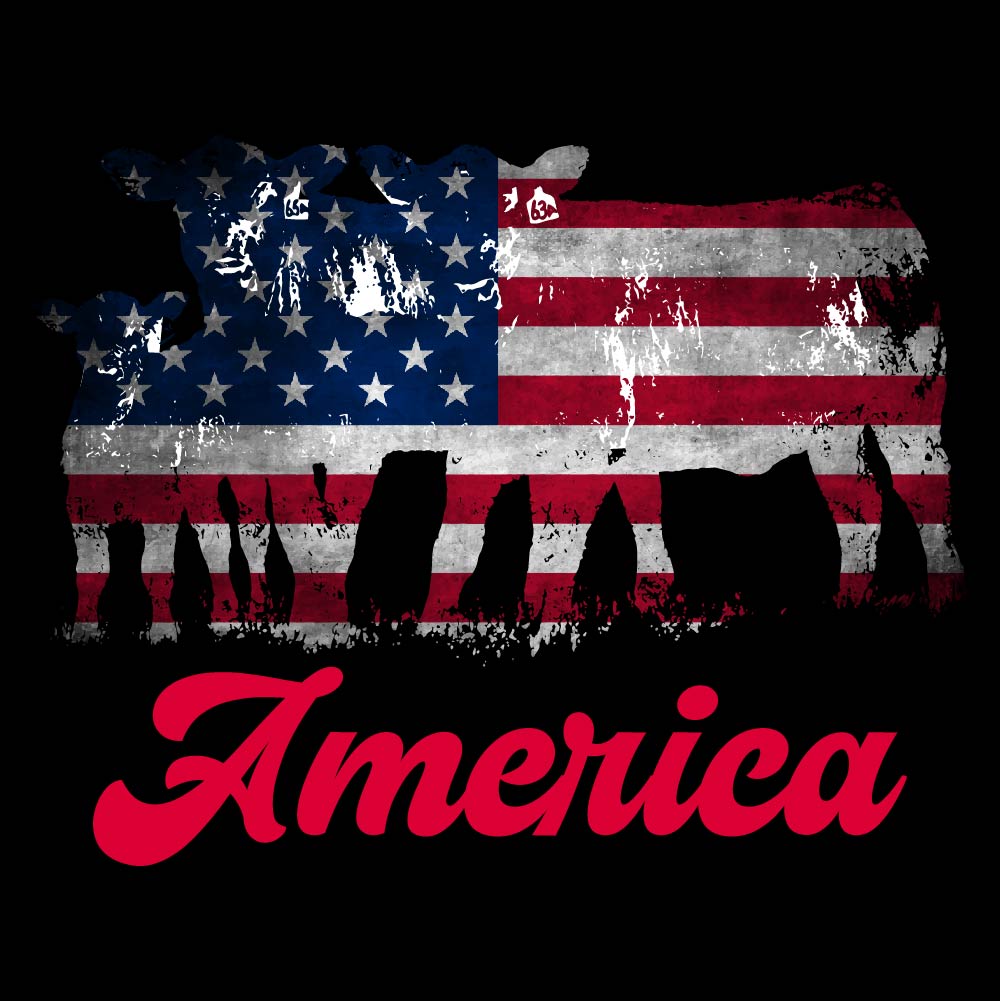 America Flag Bulls - USA - 437