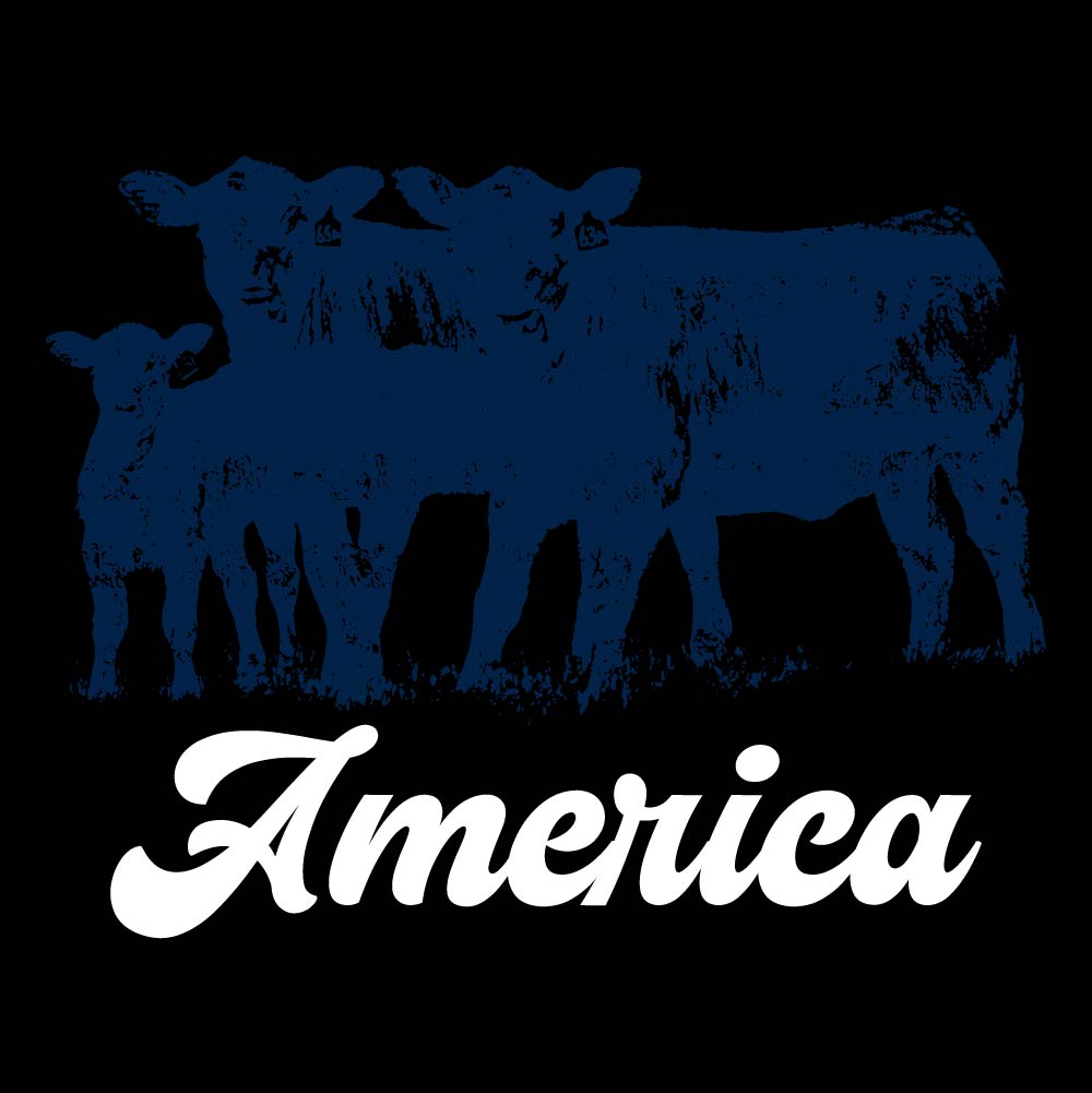 America Blue Bulls - USA - 429