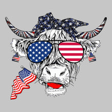 Load image into Gallery viewer, USA Sunglasses Bull - USA - 433
