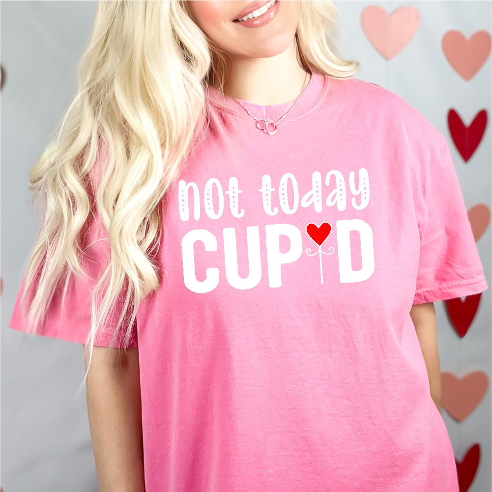 Not Today Cupid - VAL - 044