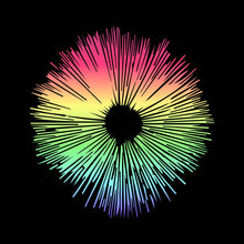 Load image into Gallery viewer, Rainbow Circle - BOH - 089

