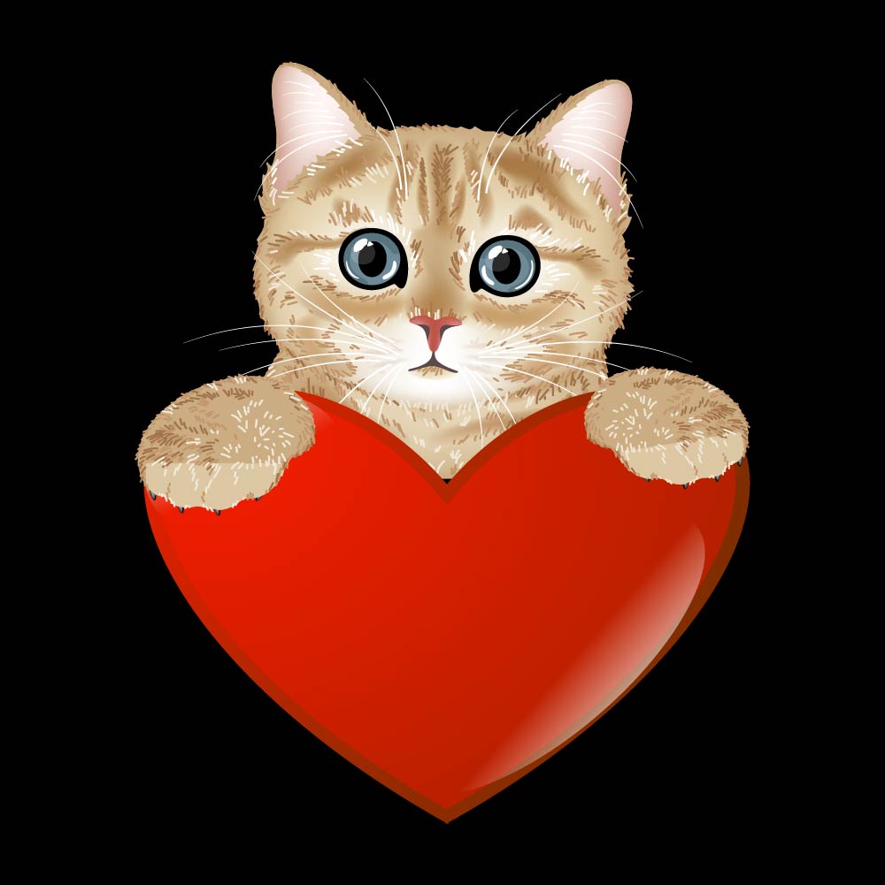 HEART CAT - CAT - 012