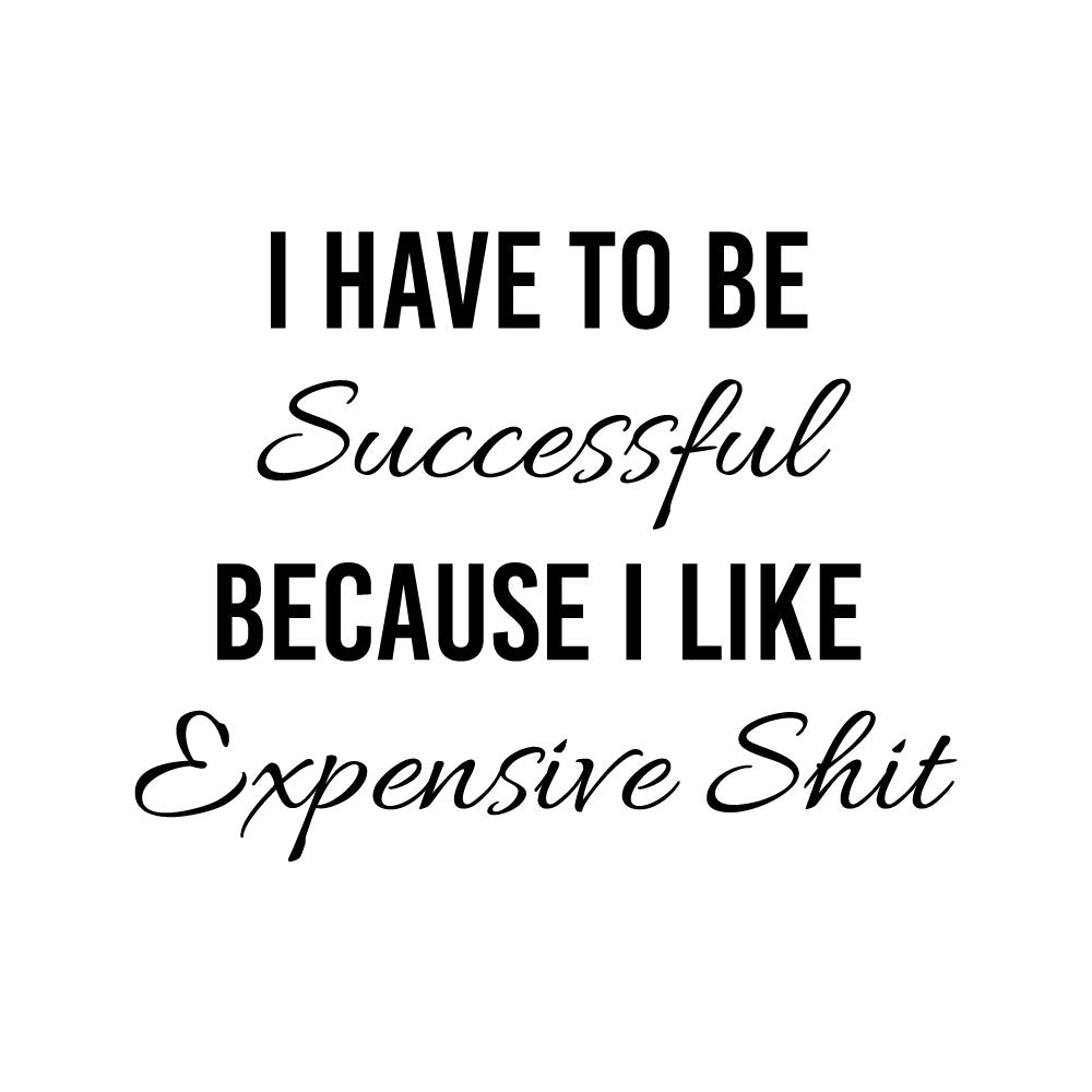 I HAVE TO BE SUCCESSFUL - FUN - 281