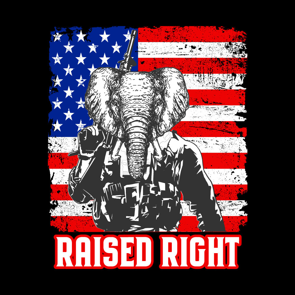 RAISED RIGHT - USA - 147 USA FLAG