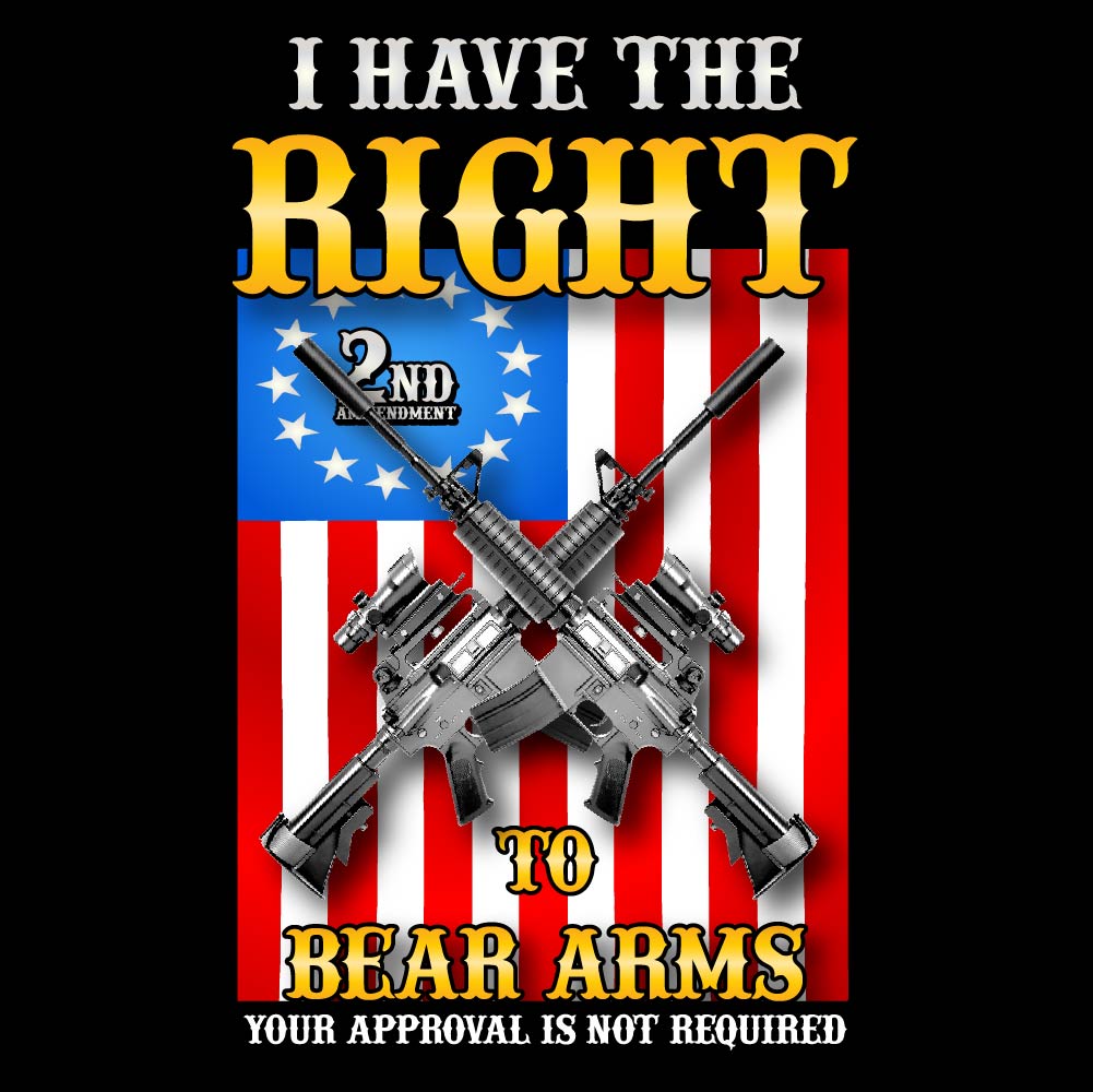 I HAVE RIGHT TO BEAR ARMS - USA-220