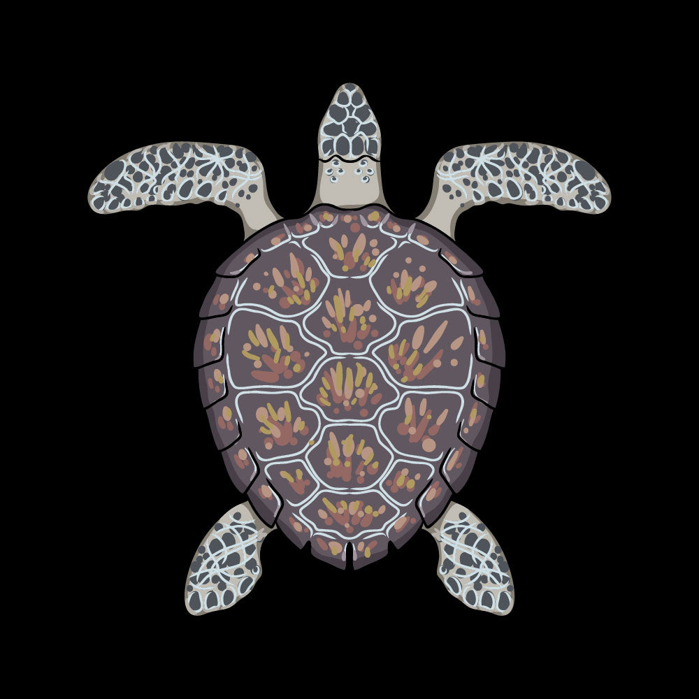 The Sea Turtle - ANM - 007