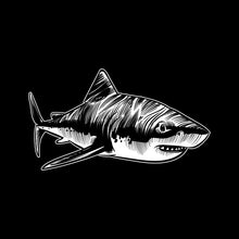 Load image into Gallery viewer, Shark - ANM - 012
