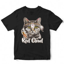 Load image into Gallery viewer, RED CLOUD - CAT - 014
