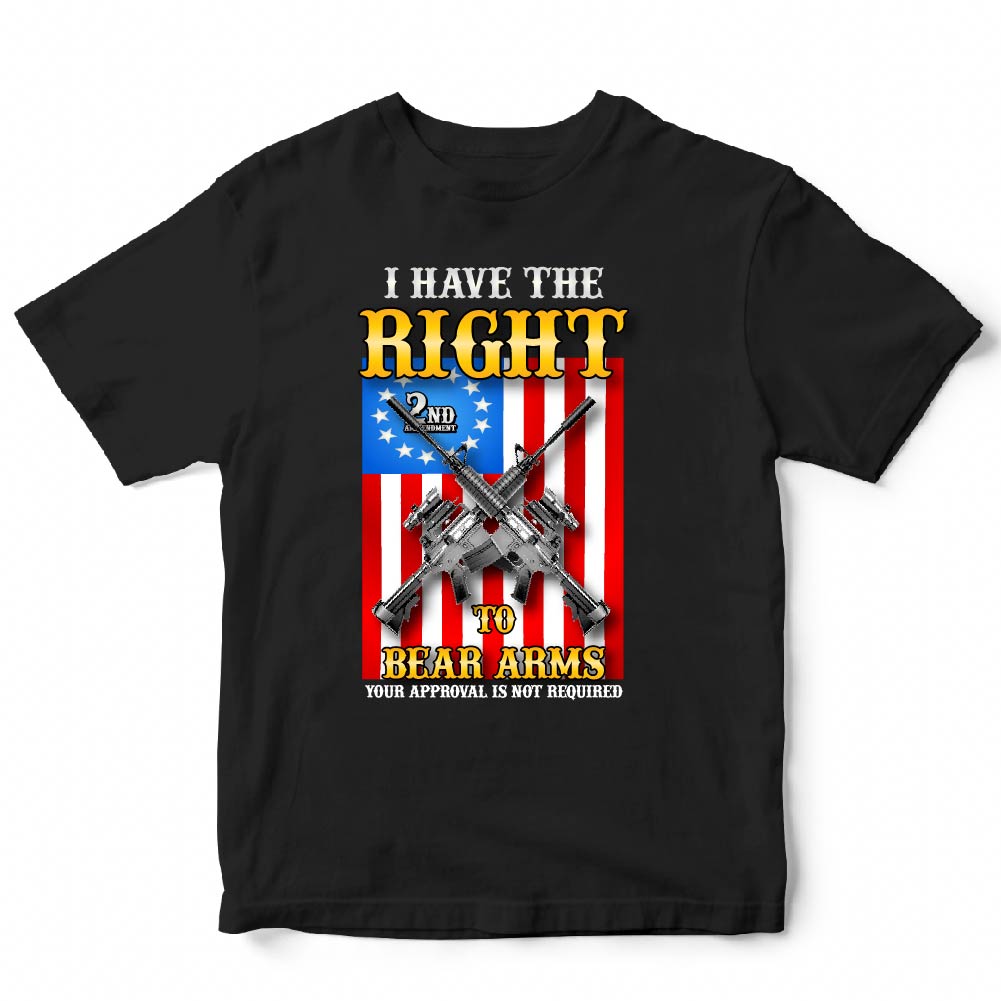 I HAVE RIGHT TO BEAR ARMS - USA-220