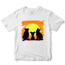 Load image into Gallery viewer, SUNSET - PET - 019
