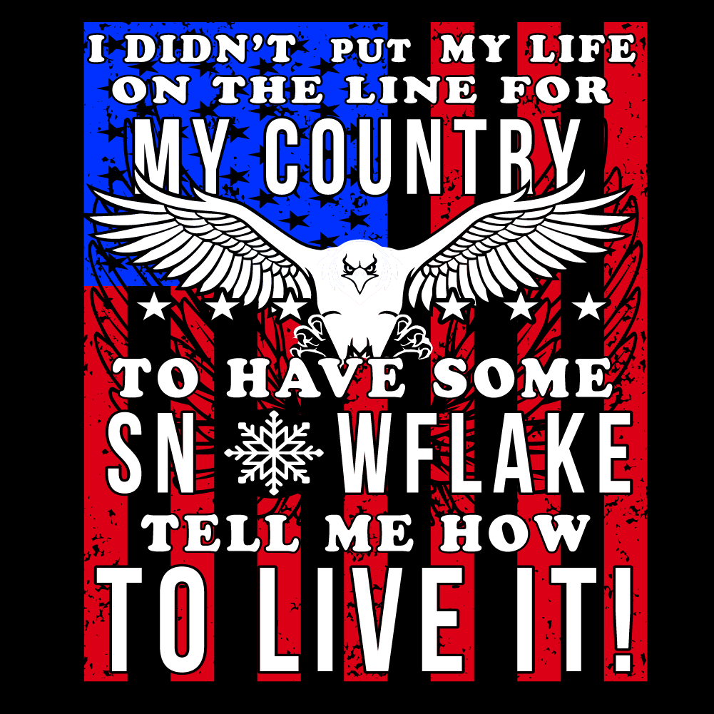 I didn't Put My Life On The Line For My Country - USA - 038 USA FLAG