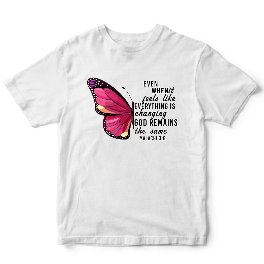 Hafl Butterfly - CHR - 292